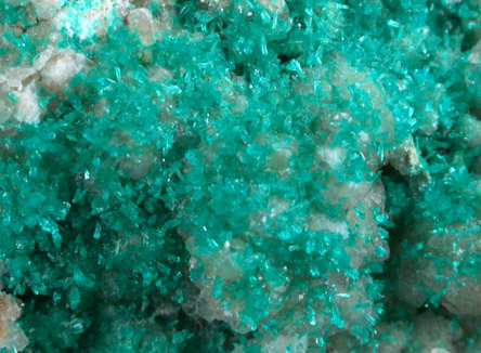 Dioptase from Christmas Mine, Banner District, Gila County, Arizona