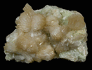 Stilbite from New Street Quarry, Paterson, Passaic County, New Jersey