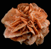 Gypsum var. Desert Rose from (Inyo County), California