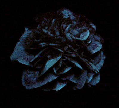 Gypsum var. Desert Rose from (Inyo County), California