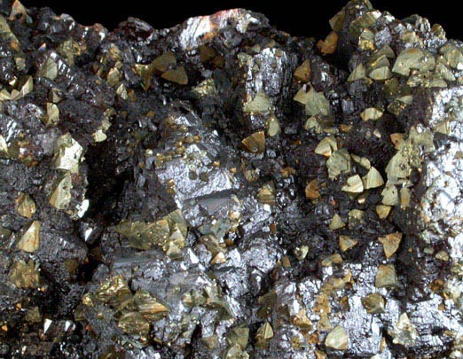 Chalcopyrite on Sphalerite from Tri-State Lead-Zinc Mining District, near Joplin, Jasper County, Missouri