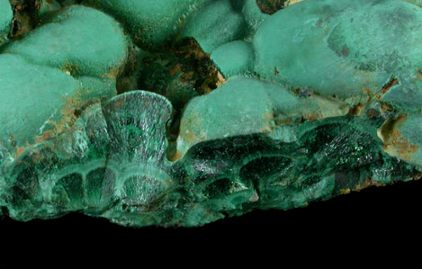 Malachite from Brown's Prospect, Rum Jungle, 61 km south of Darwin, Northern Territory, Australia