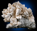 Calcite (Manganese-rich) from Pachapaqui District, Bolognesi Province, Ancash Department, Peru