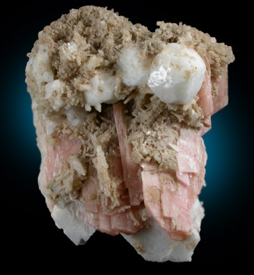 Serandite, Analcime, Natrolite, Albite from Mont Saint-Hilaire, Qubec, Canada