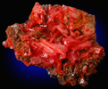 Crocoite from Dundas, Tasmania, Australia