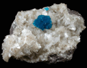 Cavansite on Stilbite from Wagholi Quarry, Maharashtra, India