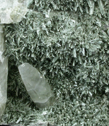 Actinolite pseudomorphs after Augite (Uralite) from Calumet Mine, 12 km NNE of Salida, Chaffee County, Colorado