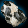Fluoro-richterite (Fluororichterite) from Earle Property, Wilbeforce, Ontario, Canada