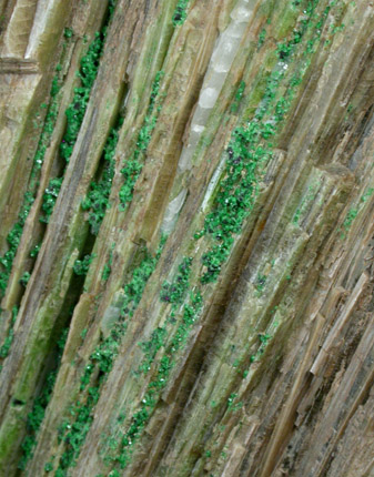 Grossular Garnet on Diopside from Orford Nickel Mine, 5.6 km southwest of Saint-Denis-de-Brompton, Qubec, Canada