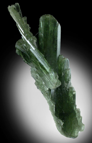 Clinozoisite / Epidote from Tormiq area, northwest of Skardu, Haramosh Mountains, Baltistan, Gilgit-Baltistan, Pakistan
