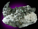 Chalcocite from Dzezkazgan Oblast, Kazakhstan