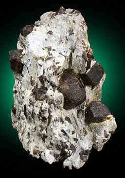 Almandine Garnet with Staurolite from Green's Farm, 750 m. ESE of Roxbury Falls, Roxbury, New Haven County, Connecticut