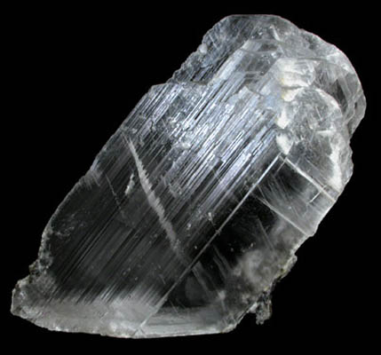 Gypsum var. Selenite from Naica Mine, Saucillo, Chihuahua, Mexico