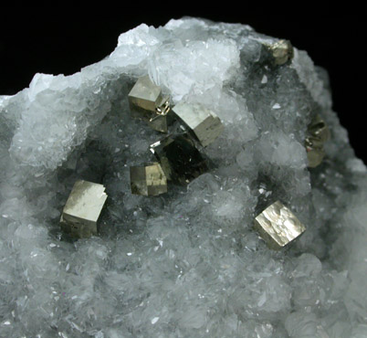 Pyrite on Datolite from Braen's Quarry, Haledon, Passaic County, New Jersey