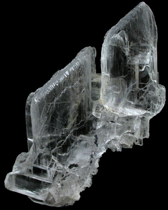 Gypsum var. Selenite from Braen's Quarry, Haledon, Passaic County, New Jersey