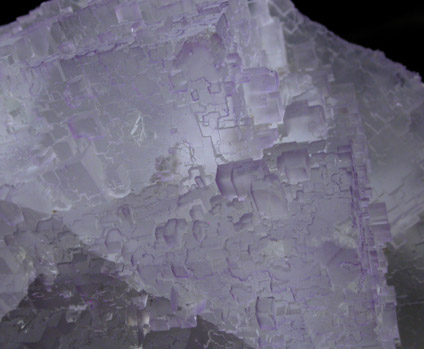 Fluorite from Mina el Tule, Melchor Mzquiz, Coahuila, Mexico