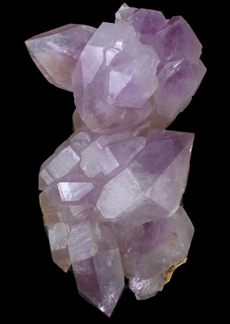 Quartz var. Amethyst from Ambilobe, Madagascar