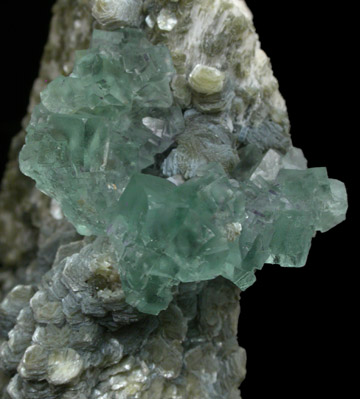 Fluorite, Zinnwaldite, Microcline from Erongo Mountains, Namibia