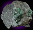 Beryl var. Trapiche Emerald from Muzo Mine, Vasquez-Yacopi Mining District, Colombia