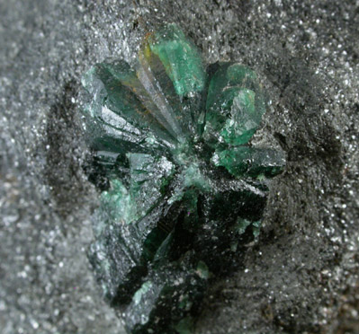 Beryl var. Trapiche Emerald from Muzo Mine, Vasquez-Yacopi Mining District, Colombia