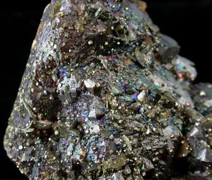 Chalcopyrite on Sphalerite from Treece, Tri-State Lead Mining District, Kansas