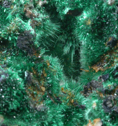 Malachite from Bisbee, Warren District, Cochise County, Arizona