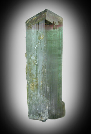 Elbaite Tourmaline from Gillette Quarry, Haddam Neck, Middlesex County, Connecticut