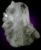 Calcite on Danburite from Mina la Aurora, Charcas District, San Luis Potosi, Mexico