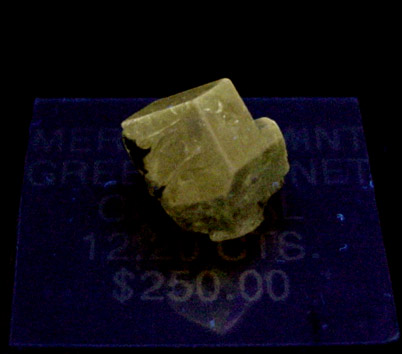 Grossular Garnet (fluorescent) from Merelani, Arngha, Tanzania