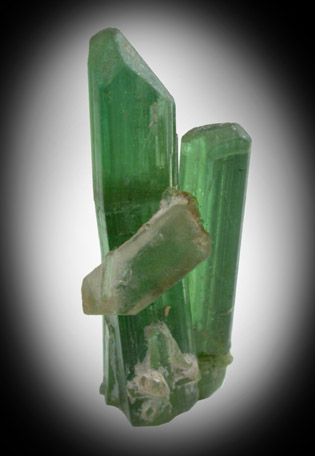 Elbaite Tourmaline with Quartz from Paprok, Kamdesh District, Nuristan Province, Afghanistan