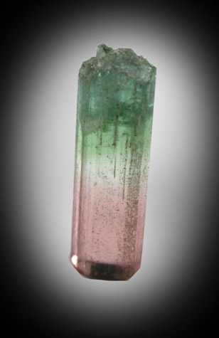 Elbaite Tourmaline from Minas Gerais, Brazil