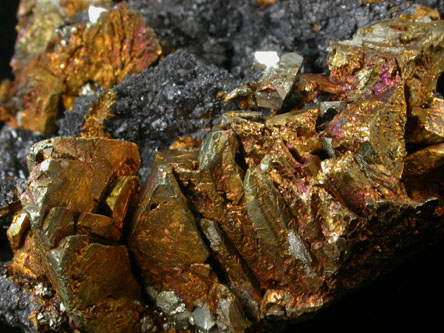 Chalcopyrite, Magnetite, Pyrite from French Creek Iron Mines, St. Peters, Chester County, Pennsylvania