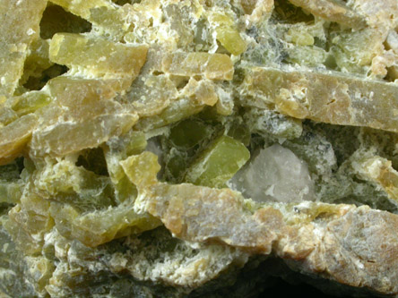 Serpentine pseudomorph after Chondrodite from Tilly Foster Iron Mine, near Brewster, Putnam County, New York