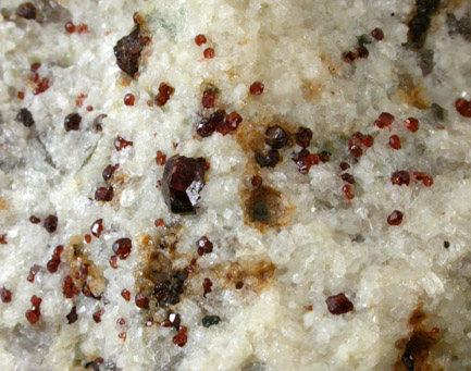 Almandine Garnet in Albite from Strickland Quarry, Collins Hill, Portland, Middlesex County, Connecticut