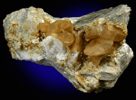 Hydroxylherderite, Moraesite , Microcline, Muscovite from Emmons Quarry, southeastern slope of Uncle Tom Mountain,  Greenwood, Oxford County, Maine