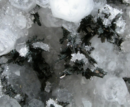 Enargite on Quartz from Butte Mining District, Summit Valley, Silver Bow County, Montana