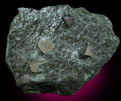 Magnetite and Pyrite in schist from Chester, Windsor County, Vermont