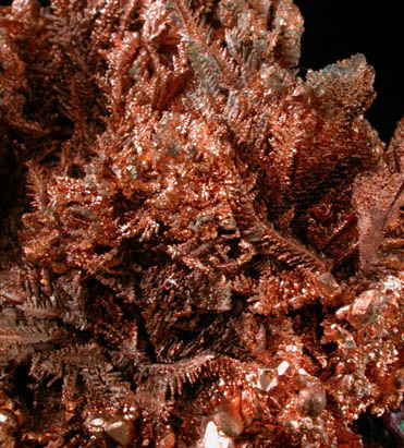 Copper from Ajo, Pima County, Arizona