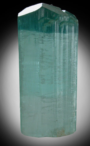 Elbaite var. Blue-cap Tourmaline from Stak Nala, Skardu Road, Baltistan, Gilgit-Baltistan, Pakistan