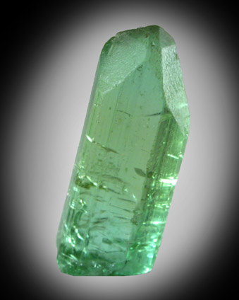 Elbaite Tourmaline from Cruzeiro Mine, Minas Gerais, Brazil