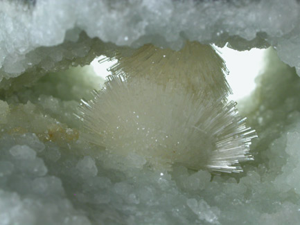 Scolecite on Prehnite from Mumbai (formerly Bombay), Maharashtra, India