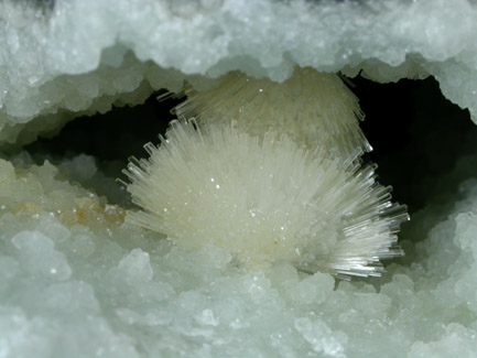 Scolecite on Prehnite from Mumbai (formerly Bombay), Maharashtra, India