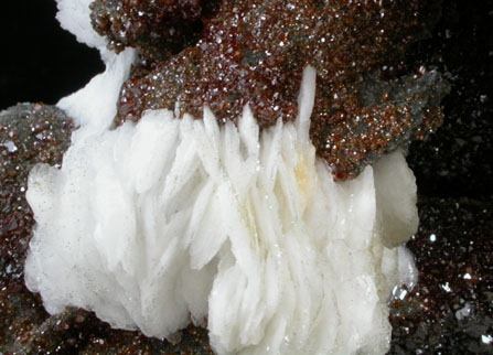 Barite on Sphalerite from Les Malines District, Saint-Laurent-le-Minier, Gard, Languedoc-Roussillon, France