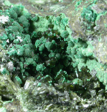 Olivenite and Malachite from Tsumeb Mine, Otavi-Bergland District, Oshikoto, Namibia