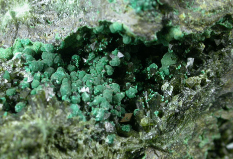 Olivenite and Malachite from Tsumeb Mine, Otavi-Bergland District, Oshikoto, Namibia