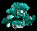 Dioptase from Tsumeb Mine, Otavi-Bergland District, Oshikoto, Namibia