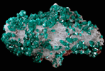 Dioptase from Tsumeb Mine, Otavi-Bergland District, Oshikoto, Namibia