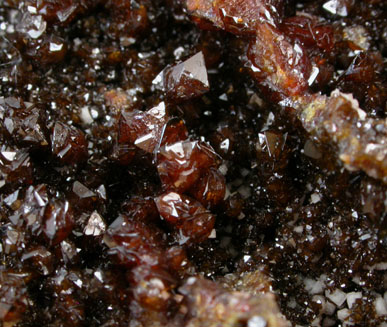 Descloizite and Dolomite from Berg Aukas Mine, 16 km ENE of Grootfontein, Otavi Mountain Land, Namibia