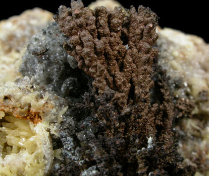 Copper on Mimetite from Tsumeb Mine, Otavi-Bergland District, Oshikoto, Namibia