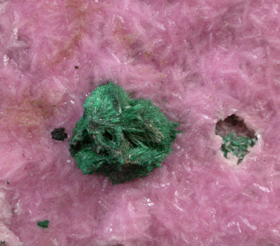 Malachite on Cobaltian Dolomite from Lubumbashi, Katanga Copperbelt, Haut-Katanga Province, Democratic Republic of the Congo